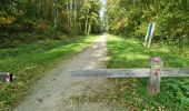 Trail Walking Cesson - Cesson-la-Forêt - Boissise-la-Bertrand - Photo 8