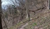 Tour Wandern Aywaille - autour de Dieupart et Sougné sur les deux versants  - Photo 12