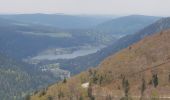 Trail Car Turckheim - les crètes des Vosges - Photo 6