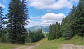 Tour Wandern Prémanon - mon 8 de La DÔLE  - Photo 4