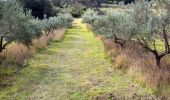 Tocht Stappen La Valette-du-Var - SityTrail - Boucle: Ripelle - Source Ripelle - Tourris - Grottes de sables - Carrière aux fourmis - Ruines des olivières - Touravelle - Ripelle - Photo 19