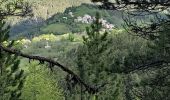Trail Walking Le Vernet - grisonniere montagne ubac belliers960m 15kms  - Photo 1