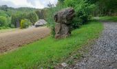 Tour Wandern Durbuy - izier ac 5 - Photo 3