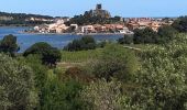 Tocht Stappen Gruissan - 20210512 île saint-Martin- Gruissan - Photo 1