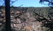 Tour Wandern Urbeis - Lac Forlet  - Photo 2