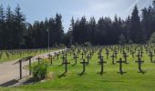 Tocht Stappen Orbey - Les Pierres tremblantes - Photo 1