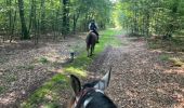 Trail Horseback riding Habay - Tucker avec les dadous 1ère fois - Photo 3