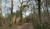 Tocht Noords wandelen Lesparre-Médoc - St Trelody Médoc - Photo 2