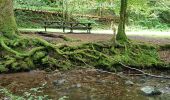 Tour Wandern Plancher-les-Mines - Cascades de la Goutte des Saules - Belvédère - Grotte St Antoine - Photo 4