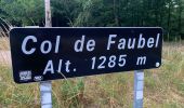 Tour Wandern Saint-Sauveur-Camprieu - Col du Faubel  lac Camprieu Col du faubel - Photo 2