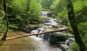 Tour Wandern Menétrux-en-Joux - Cascades du Herisson jura  - Photo 3