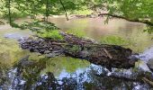 Trail Walking Houffalize - Le herou . Le chesle - Photo 15