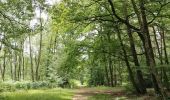 Tocht Stappen Seraing - Bois de la Vecquée - Photo 2