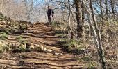 Tour Wandern Brison-Saint-Innocent - MONT DE CORSUET: BRISON ST INNOCENT - MEYRIEU - SOUS LA CHAMBOTTE - Photo 10