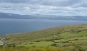 Tour Zu Fuß West Cork - Peakeen Ridge Loop Walk - Photo 8