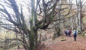 Trail Walking Vaulnaveys-le-Bas - Les Balcons de Belledonne au dėpart de Montchaffrey - Photo 8