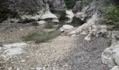 Randonnée Marche Oppedette - Gorges d'Oppedette - Photo 5