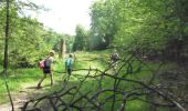Tour Wandern Daverdisse - Porcheresse - Photo 10