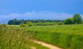 Tocht Stappen Nailly - Boucle 25 km autour de Nailly  - Photo 3