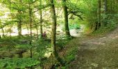 Randonnée Marche Engins - Les gorges du Bruyant - Photo 7