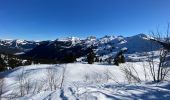 Tour Schneeschuhwandern Châtel - Plaine Dranse - Pointe de Lens - Pré la Joux - Photo 1