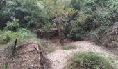 Tour Wandern Le Revest-les-Eaux - Boucle: La ripelle - Source de la ripelle - Le Chateau de Tourris - Les grottes de sable - La carrière aux fourmis - Les puits renovés de M. Lambicchi - Les ruines des Olivières - La ferme de la Touravelle - à Le Revest-les-Eaux - Photo 3