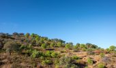 Trail On foot Odeleite - Barrancos - Photo 3