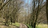 Tour Wandern Doische - Soûlée RB - Photo 5