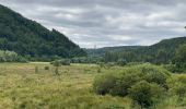 Tocht Stappen Clervaux - Escapardenne Eisleck Trail: Clervaux - Moulin d'Asselborn - Photo 17