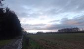 Trail Walking Ferrières - dans les pas de Saint Roch - Ferriere - Photo 3