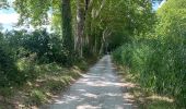 Tocht Fietstoerisme Avignonet-Lauragais - Canal du Midi - Photo 1