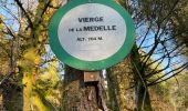 Trail Walking Le Syndicat - Les roches de Mortevieille - Photo 1