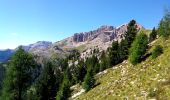 Trail On foot Campitello di Fassa - IT-E530 - Photo 2