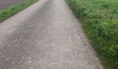 Trail Mountain bike Bastogne - boucle 1 - Photo 2