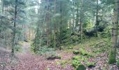 Trail Walking Kirchberg - Source de la Doller - Photo 1