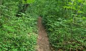 Trail Walking Cheptainville - Forêt Régionale de Cheptainville  - Photo 15