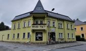 Percorso A piedi Neustadt in Sachsen - Gelber Strich Valtenberg - Butterberg - Photo 3