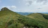 Tour Wandern Mandailles-Saint-Julien - Mandailles Elanceze Col de Pertus - Photo 8