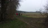 Tocht Stappen Le Houlme - 20240113-le houlme - Photo 16