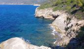 Trail Walking Patrimonio - sentier du littoral de St Florent à Punta di Saeta - Photo 4