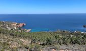 Tocht Stappen Saint-Raphaël - Cap Roux par l'Est depuis la gare du Trayas - Photo 17