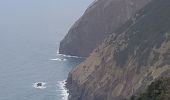 Trail Walking Machico - Madère : du tunnel de Caniçal à Porto da Cruz - aller en bus - Photo 17