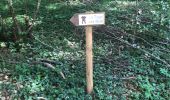 Excursión Senderismo La Tour-de-Sçay - La tour des bois par le chemin des éolienne  - Photo 2