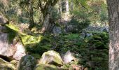 Excursión Senderismo Le Valtin - Sentier des roches - Photo 13