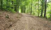 Trail Equestrian Porcelette - Wikiloc - Porcelette - Grotte des russes - Photo 16