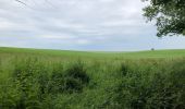 Tocht Stappen Graven - Randonnée autour de Grez-Doiceau - Photo 17