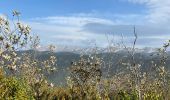 Trail Walking Saint-Agnan-en-Vercors - Rocher du mas (vercors) - Photo 9