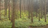 Trail Walking Marche-en-Famenne - Griembiemont  - Photo 1