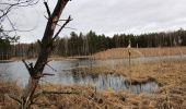 Tour Zu Fuß Borkowitz - NS Borkovická blata - Photo 4