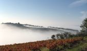 Trail Walking Fleurie - Fleurie (Rhône) 17 km - D. 498 m - Photo 1